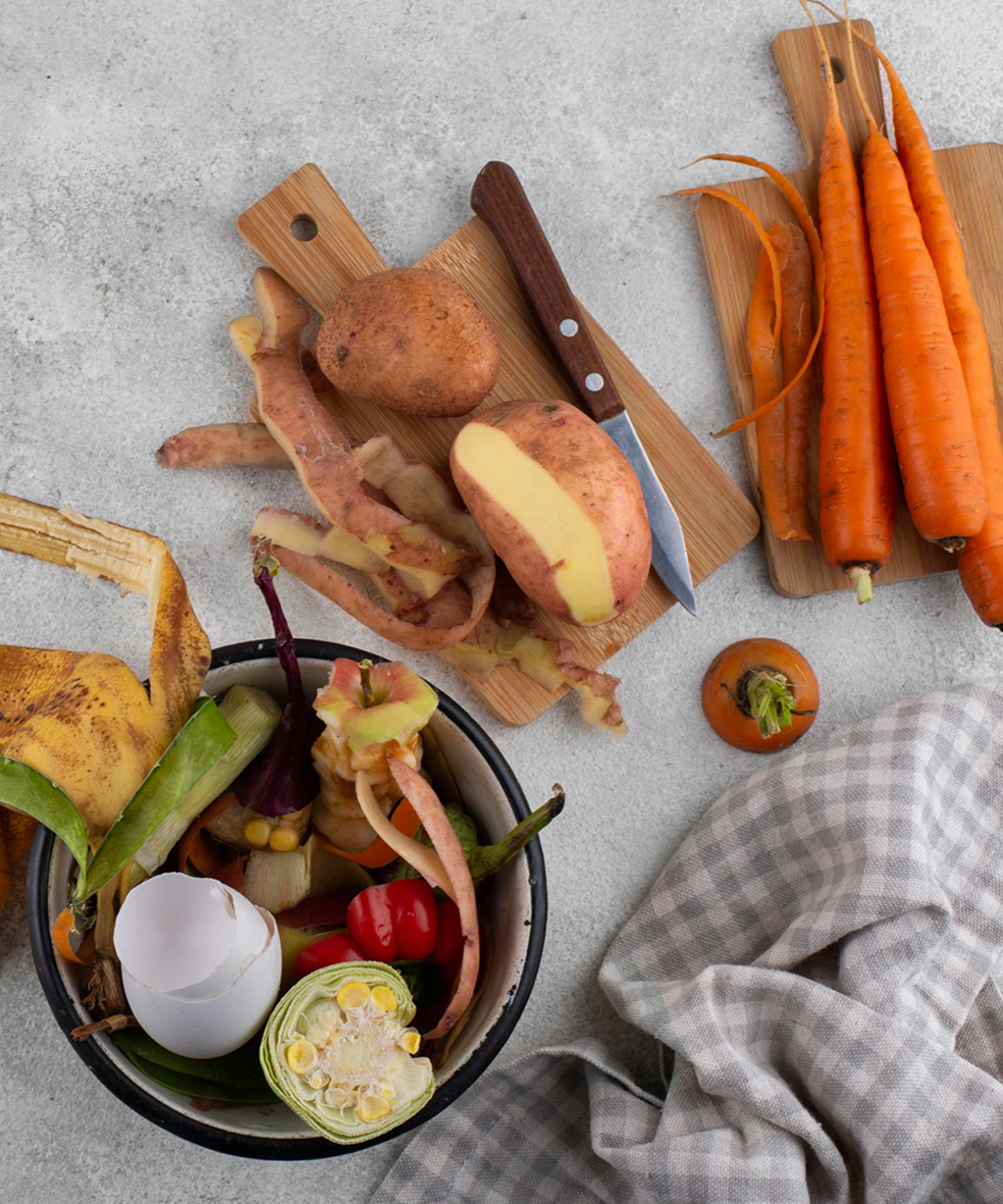 assortment-compost-made-rotten-food-with-copy-space